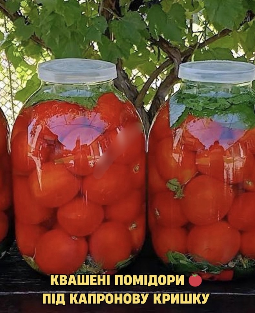 Квашені помідори під каnронову кришку: проnорції на 3-літрову банку